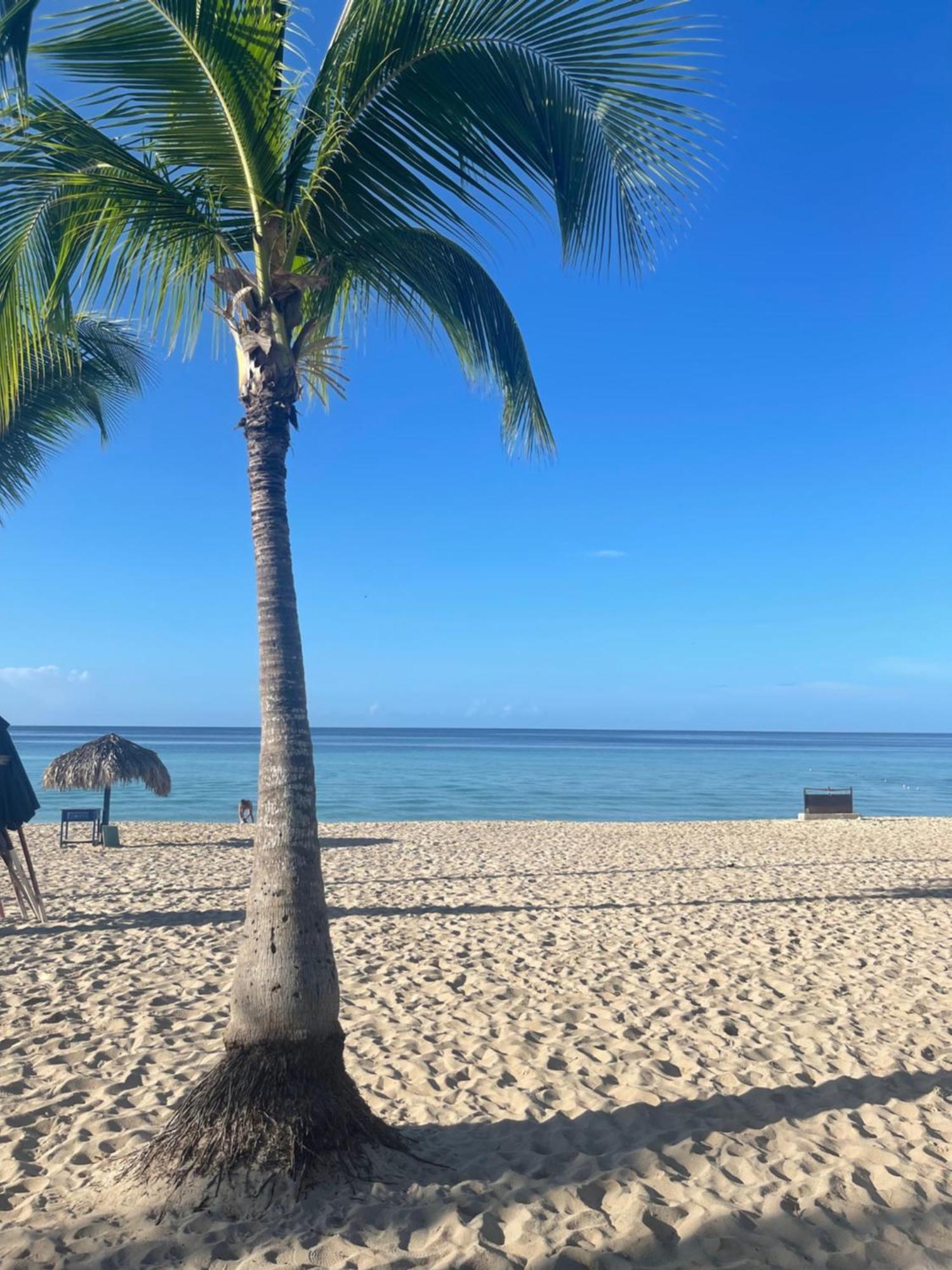 B&B Villa Luna Bayahibe Exteriör bild