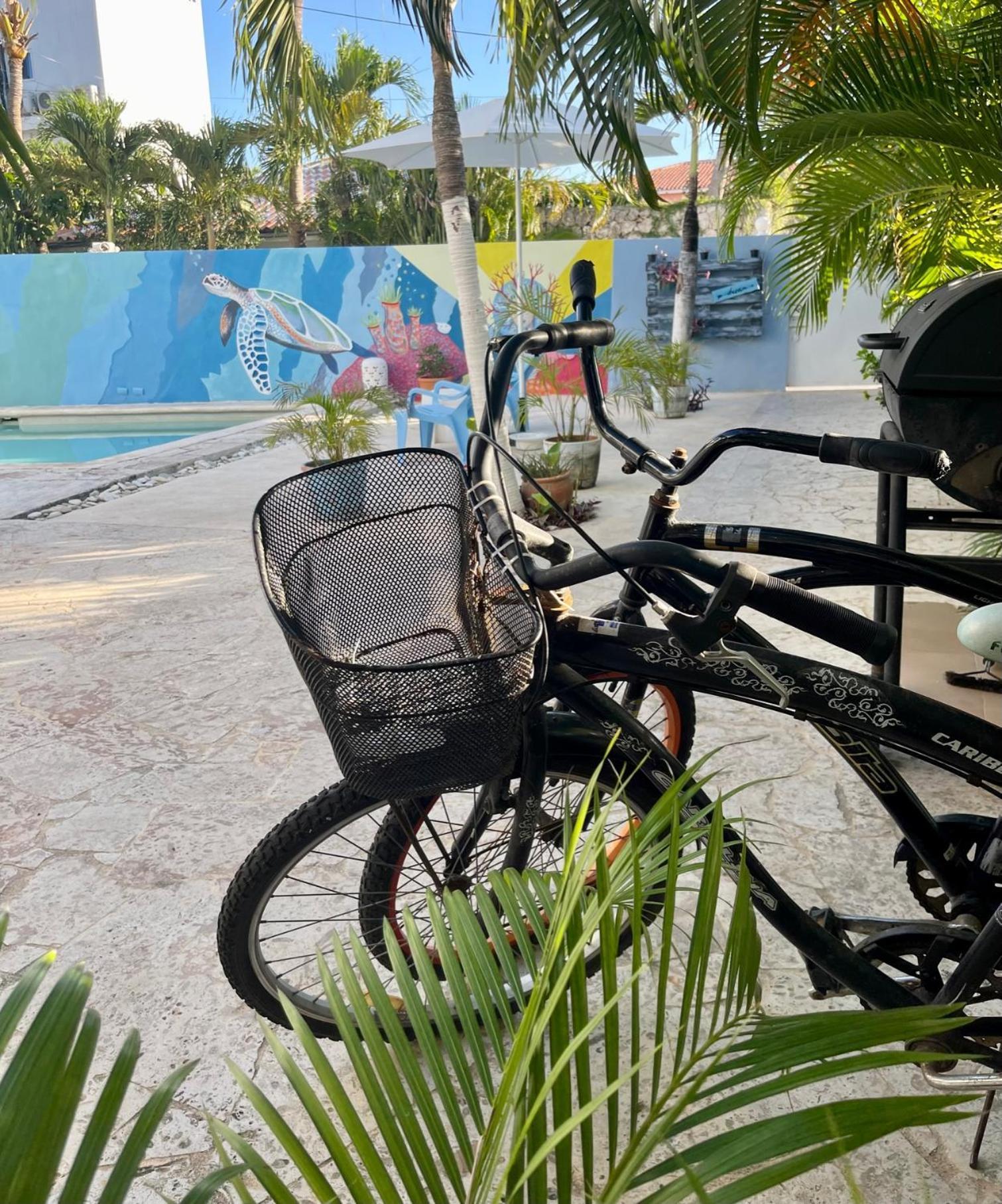 B&B Villa Luna Bayahibe Exteriör bild