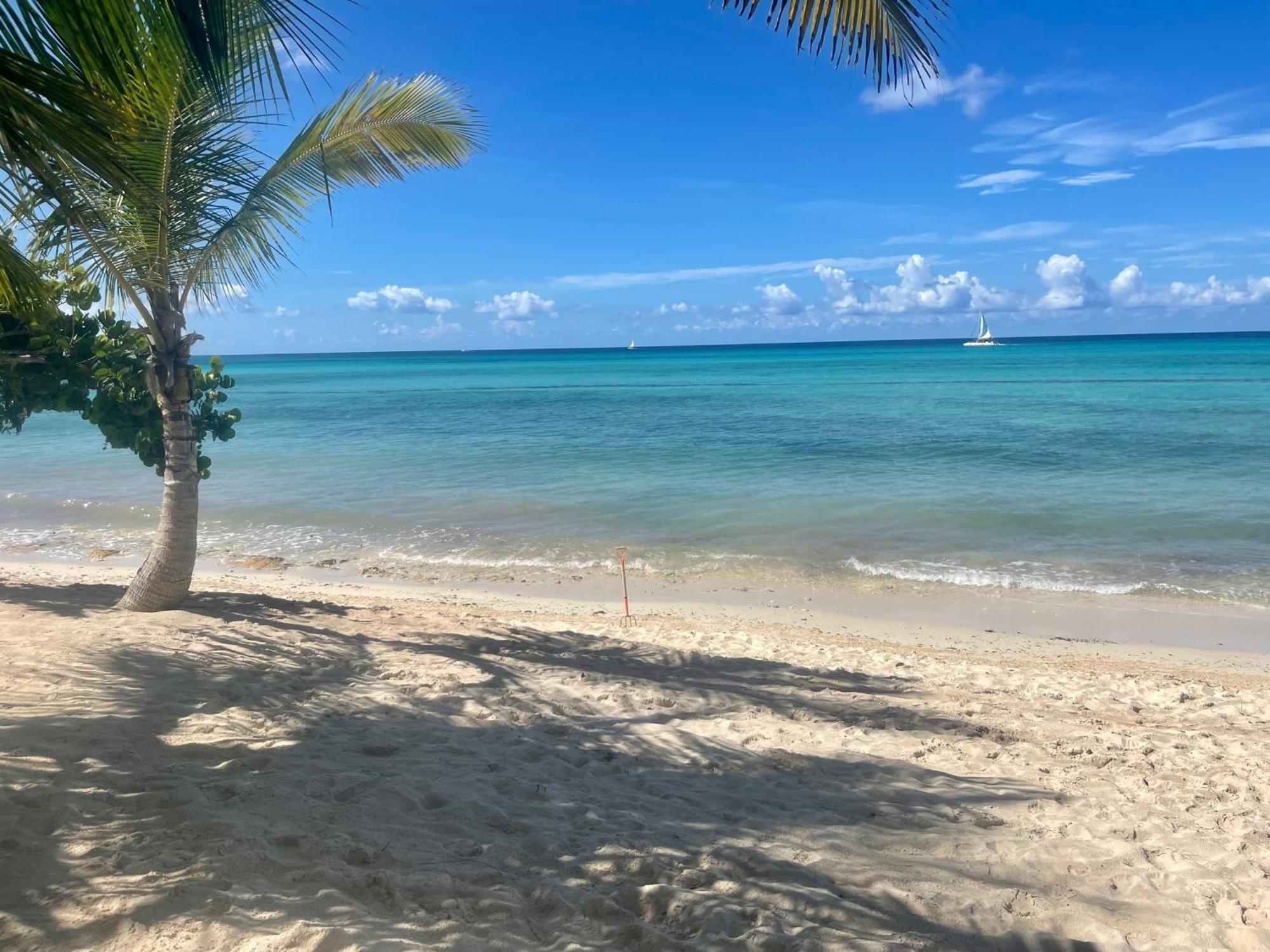 B&B Villa Luna Bayahibe Exteriör bild