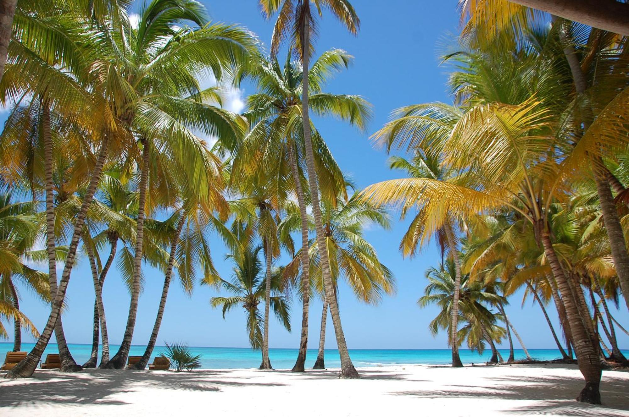 B&B Villa Luna Bayahibe Exteriör bild