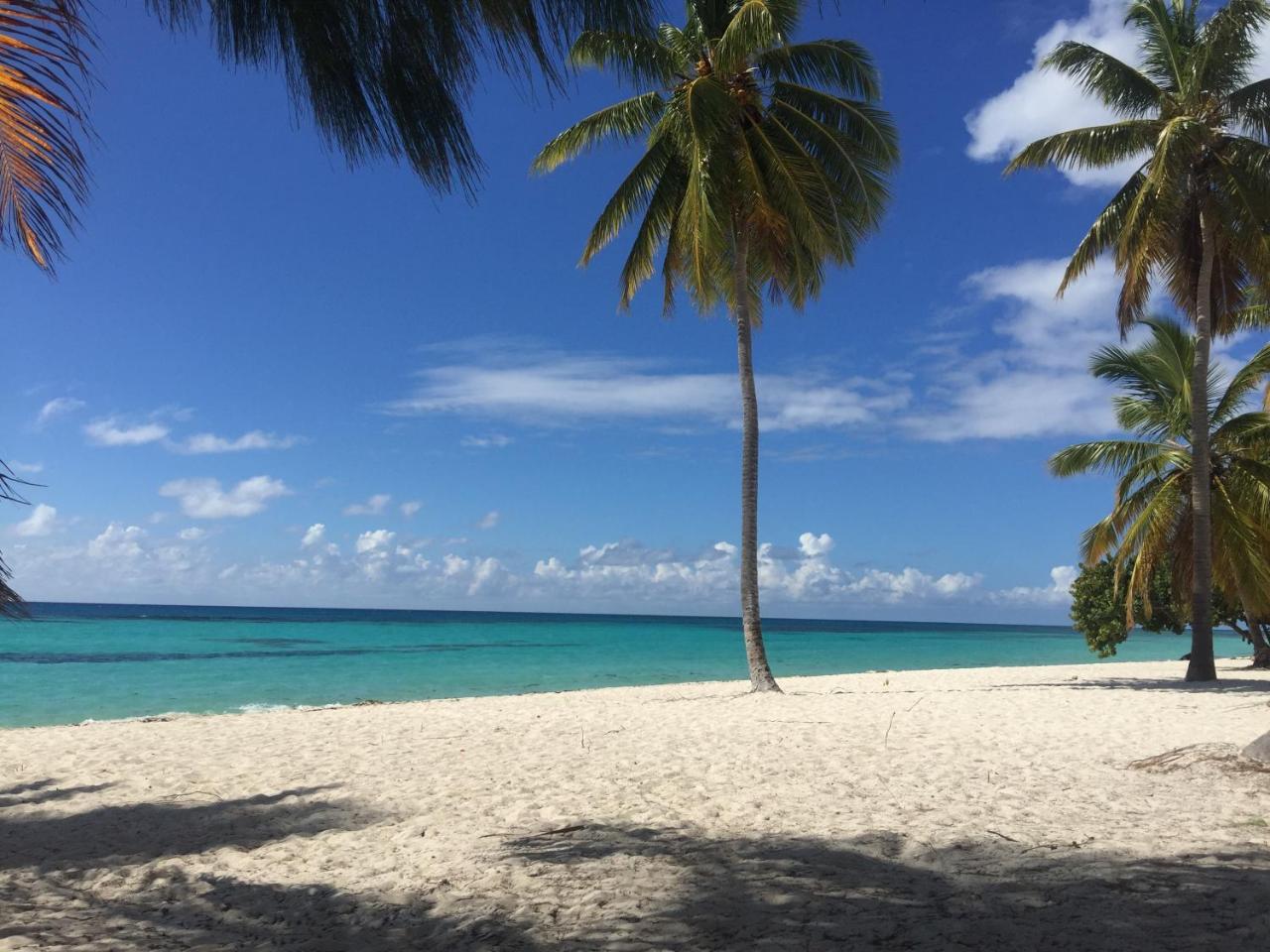 B&B Villa Luna Bayahibe Exteriör bild