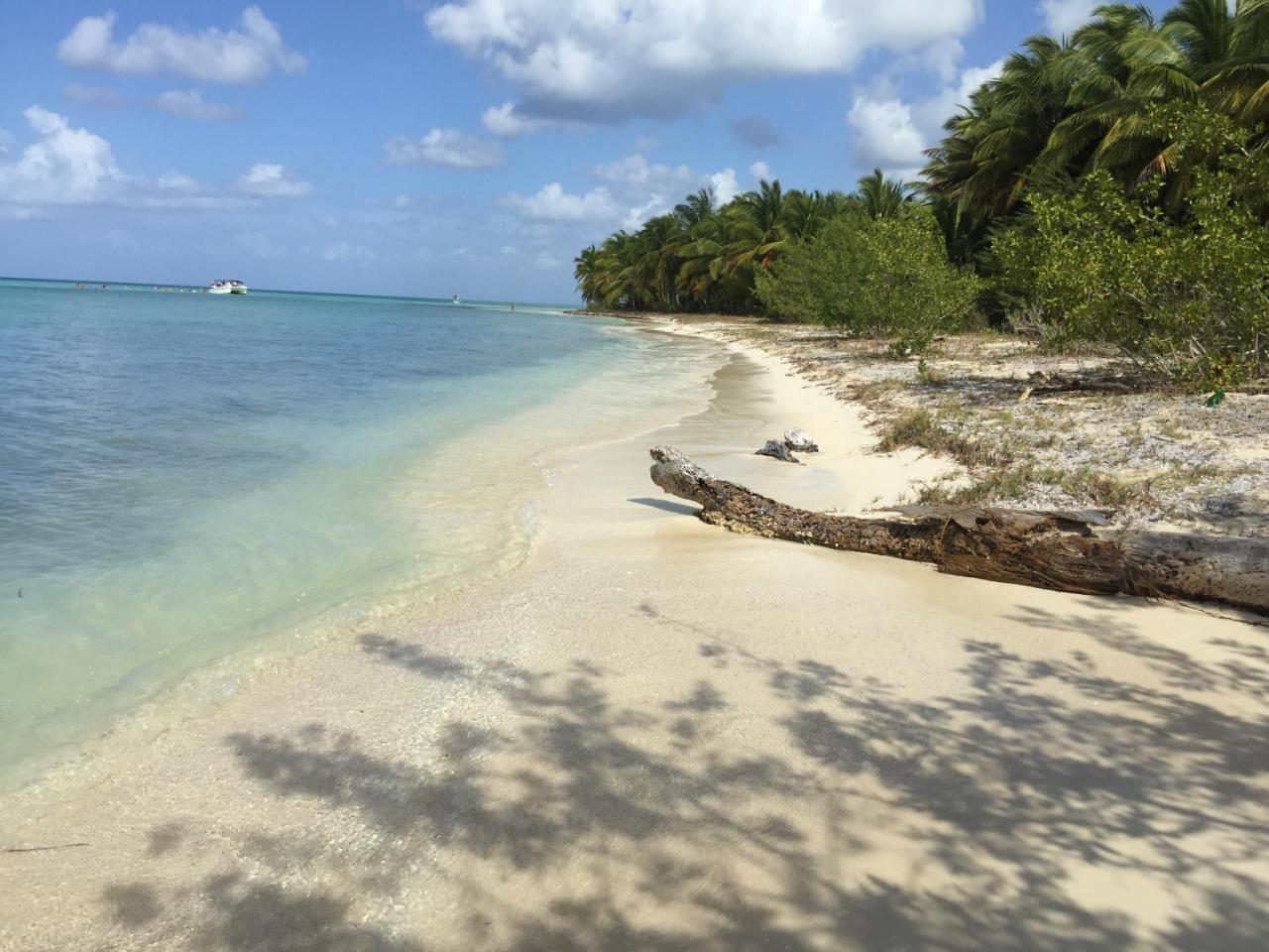 B&B Villa Luna Bayahibe Exteriör bild